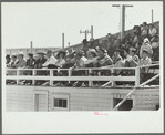 Audience at rodeo, Miles City, Montana