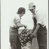 Young onion field worker, Rice County, Minnesota