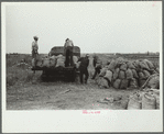 Loading onions, Rice County, Minnesota