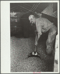 Emptying a truck full of shelled corn at elevator, Grundy Center, Iowa