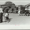 Photographing the grand champion bull, Central Iowa 4-H Club fair, Marshalltown, Iowa