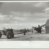 Threshing grain, San Luis Valley Farms, Alamosa, Colorado