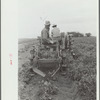 Potato digger, Rio Grande County, Colorado