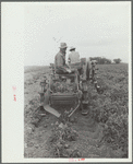 Potato digger, Rio Grande County, Colorado