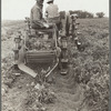 Potato digger, Rio Grande County, Colorado