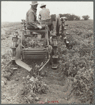 Potato digger, Rio Grande County, Colorado