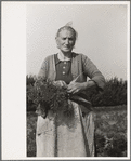 Woman picking carrots, Camden County, New Jersey