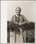 Woman picking carrots, Camden County, New Jersey