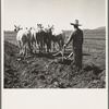 Rehabilitation client listing field before irrigating. Dona Ana County, New Mexico