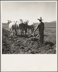 Rehabilitation client listing field before irrigating. Dona Ana County, New Mexico