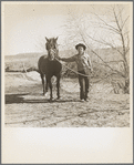 Rehabilitation client and stallion obtained through rehabilitation loan. Dona Ana County, New Mexico