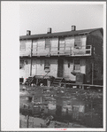 Houses inhabited by oyster workers, Shellpile, New Jersey