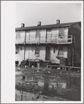 Houses inhabited by oyster workers, Shellpile, New Jersey