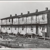 Houses inhabited by oyster workers, Shellpile, New Jersey