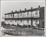 Houses inhabited by oyster workers, Shellpile, New Jersey