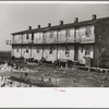 Houses inhabited by oyster workers, Shellpile, New Jersey