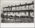 Houses inhabited by oyster workers, Shellpile, New Jersey