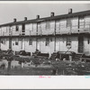 Houses inhabited by oyster workers, Shellpile, New Jersey