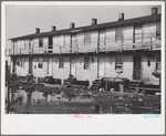 Houses inhabited by oyster workers, Shellpile, New Jersey