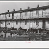 Houses inhabited by oyster workers, Shellpile, New Jersey