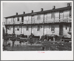 Houses inhabited by oyster workers, Shellpile, New Jersey