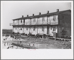 Workers in oyster industry live in shacks like this. Mosquitoes breed in everpresent pools of water, Shellpile, New Jersey