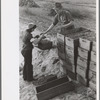 Girl bringing in load of cranberries, Burlington County, New Jersey