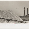Pile of oyster shells used for fertilizer, Shellpile, New Jersey
