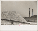 Pile of oyster shells used for fertilizer, Shellpile, New Jersey