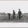 Cranberry pickers on way to checking station, Burlington County, New Jersey