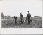 Cranberry pickers on way to checking station, Burlington County, New Jersey