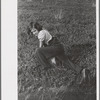 Child labor in cranberry bog, Burlington County, New Jersey