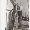 Oysterman with dredge for gathering oysters, Bivalve, New Jersey