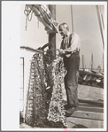 Oysterman with dredge for gathering oysters, Bivalve, New Jersey