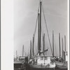 Oyster fishing boats, Bivalve, New Jersey