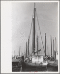 Oyster fishing boats, Bivalve, New Jersey