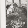 Shucking oysters, Bivalve, New Jersey