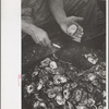 Shucking oysters, Bivalve, New Jersey