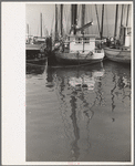 Oyster fishing boats, Bivalve, New Jersey
