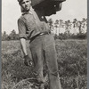 Migratory worker with load of cranberries, Burlington County, New Jersey