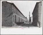 Slum alley, Camden, New Jersey