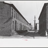 Slum alley, Camden, New Jersey