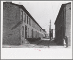 Slum alley, Camden, New Jersey