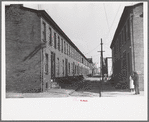 Slum alley, Camden, New Jersey