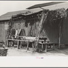 Outdoor eating place for cranberry pickers, Burlington County, New Jersey