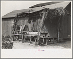 Outdoor eating place for cranberry pickers, Burlington County, New Jersey