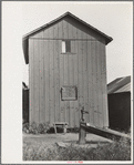 Shack in which families of cranberry pickers are crowded together. Burlington County, New Jersey