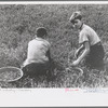 Children picking cranberries, Burlington County, New Jersey