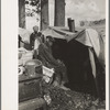 Evicted sharecroppers along Highway 60, New Madrid County, Missouri