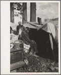 Evicted sharecroppers along Highway 60, New Madrid County, Missouri
